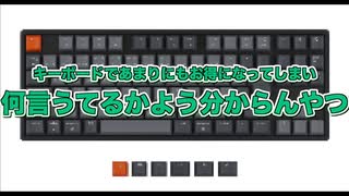 買ったキーボードで舞い上がってるやつ