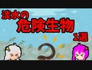 第95位：【VOICEROID解説】ゆかり先輩と見る危険生物【淡水編①】