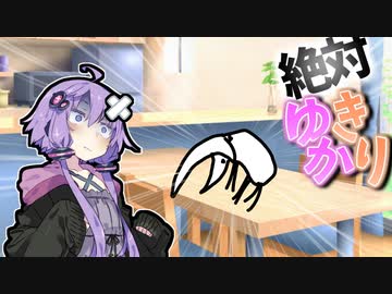 机の上になんか変な虫がいるー！