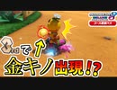 【マリオカート8DX 】1位が早すぎてアイテムボックスが壊れちゃった【チャレンジ杯 アス視点 1GP】