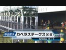 【競馬】2023年 第16回カペラステークス(GⅢ)【テイエムトッキュウ / 津村明秀】