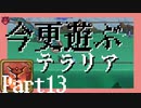 【Terraria】今更遊ぶテラリア Calamity mod [Part.13]