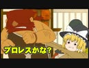 霊夢トン教授と魔神の笛part8