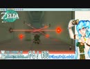 【実況】ゼルダの伝説TotKやる！【30】