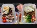 【ASMR】お祭り弁当【飯テロ/咀嚼音/Mukbang/Eating sounds】【日本字幕/韓国語字幕/英語字】