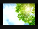 こんにちは♪【昼温和】No242≪自分を愛するための一手≫