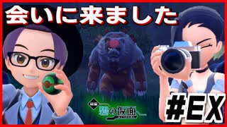 【#EX】赫月に会いに行きます【碧の仮面】