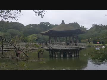 奈良散歩 part4（浮見堂周辺探索他）