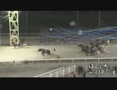 2023年12月11日帯広競馬11R ターコイズ特別(OP-1) ツガルノヒロイモノ