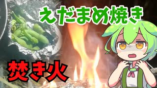 やはり冬は焚き火なのだ！！【ずんだキャンプ】