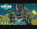 だとしたら既にパンツは破れてます　「ゼルダの伝説～ティアーズ・オブ・ザ・キングダム」　＃61