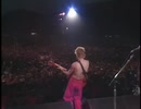 The Stray Cats - Rock This Town (Live)