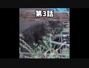 【ショート】僕が子猫が生まれると思った理由 第3話