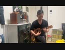 memory/シュモクザメ