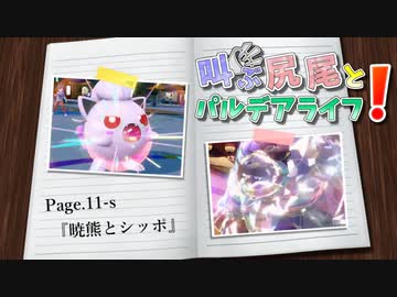 【ポケモンSV】叫ぶ尻尾とパルデアライフ！ Page.11-s【暁熊とシッポ】