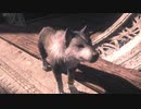 【FF16】ストーリーメインで進めるよ #19