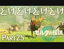 俺はハテノ村に行きてえんだ！！！【ゼルダの伝説 ティアーズオブザキングダム】Part25