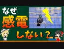 【ゆっくり解説】なぜ鳥は電線に立っても感電しないのか？