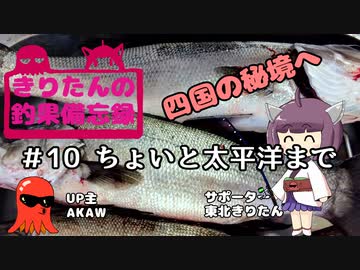 きりたんの釣果備忘録 ＃10　ちょいと太平洋まで