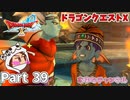キャスランの企み【ドラゴンクエストX】Part 39