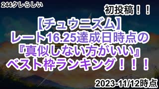 【チュウニズム】レート16.25の『尖った』特攻系ベスト枠ランキング ~1位に14.9を添えて~