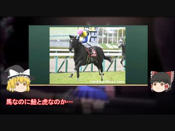 【ウマ娘3期】泣けるモブウマ娘　幻のGⅠホース【シャケトラ】