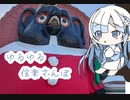 ゆるゆるさんぽ＃１　滋賀　信楽焼とおそば　【Whitecul】