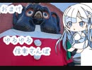 ゆるゆるさんぽ　＃1.5　購入品紹介 whitecul