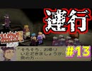 【初見実況】　名作RPG！ブレスオブファイア４のクリアを目指します！　Part13