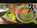 【ポケモンSV】鳴り響く鼓と未知の先【ヤバソチャ】