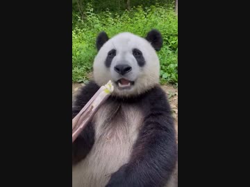 ホモと見るクチャラー