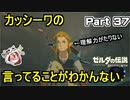 カッシーワの言ってることがわかんない！【ゼルダの伝説 ブレス オブ ザ ワイルド】PART 37