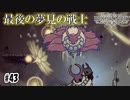 これで夢見の戦士は最後のはず　[Hollow Knight]