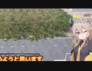 【7days to die α21】建材のために木材をたくさん集めますが、桁を間違えたみたいです「100days」【Voicevox実況】Part5