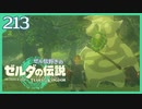 #213【ゼルダの伝説ティアーズオブザキングダム】ちょっと世界を翔けてくる【実況プレイ】