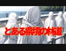中国地方のとある県境の林道(死ぬ程洒落にならない怖い話/水野くろ/voiceroid怪談/結月ゆかり)