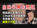 自民党支持者でも裏金問題は擁護不可能なレベルだ…岸田政権が潰れても不思議じゃない