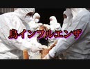 カンボジア、鳥インフルエンザの新たな感染者2人と死亡者を記録