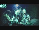【MHRise】モンスターハンターライズ 実況プレイ part25