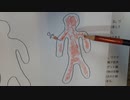 従来型ワクチンとRNAワクチンの違い