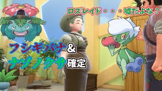 【ポケモンSV】悲報、藍の円盤でラフレシア内定によりロズレイドの立ち位置が危うくなってしまう