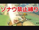 ゾナウ禁止縛りpart7【ティアキン/制限プレイ/ゼルダの伝説ティアーズオブザキングダム】