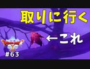 #63 【ドラゴンクエストⅩオフライン】暗黒大樹の葉を取りに行く回【目覚めし五つの種族】※ネタバレ注意
