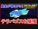 ポケモンSV テラパゴスを捕獲せよ！テラスタルの真実が判明！テラスタイプ：ステラとは？18タイプの頂点の凄いタイプ！伝説ポケモンを捕獲せよ！ ポケモンスカーレット＆バイオレット【メイルス】