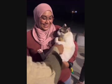 ホモと見るぬいぐるみを取られると泣いちゃう猫