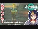 【ゼルダの伝説TotK Part76】ﾊｲﾊｲ偽ゼルダ偽ゼルダ　※ネタバレあり　【#ゼルダの伝説/#ゼルダの伝説ティアーズオブザキングダム/#ゲーム実況/#初見実況/#VTuber】