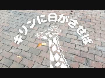 【歌ってみた】キリンに日がさせば / 初音ミク、濁茶【バチカアフ】