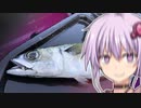 【VOICEROIDフィッシング】楽しいカヤックフィッシング #25 サバア！！