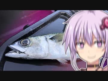 【VOICEROIDフィッシング】楽しいカヤックフィッシング #25 サバア！！