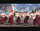 実践女子よさこいWINGさんにオリジナル楽曲を載せてみた